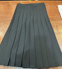 A-Line Pleated Skirt